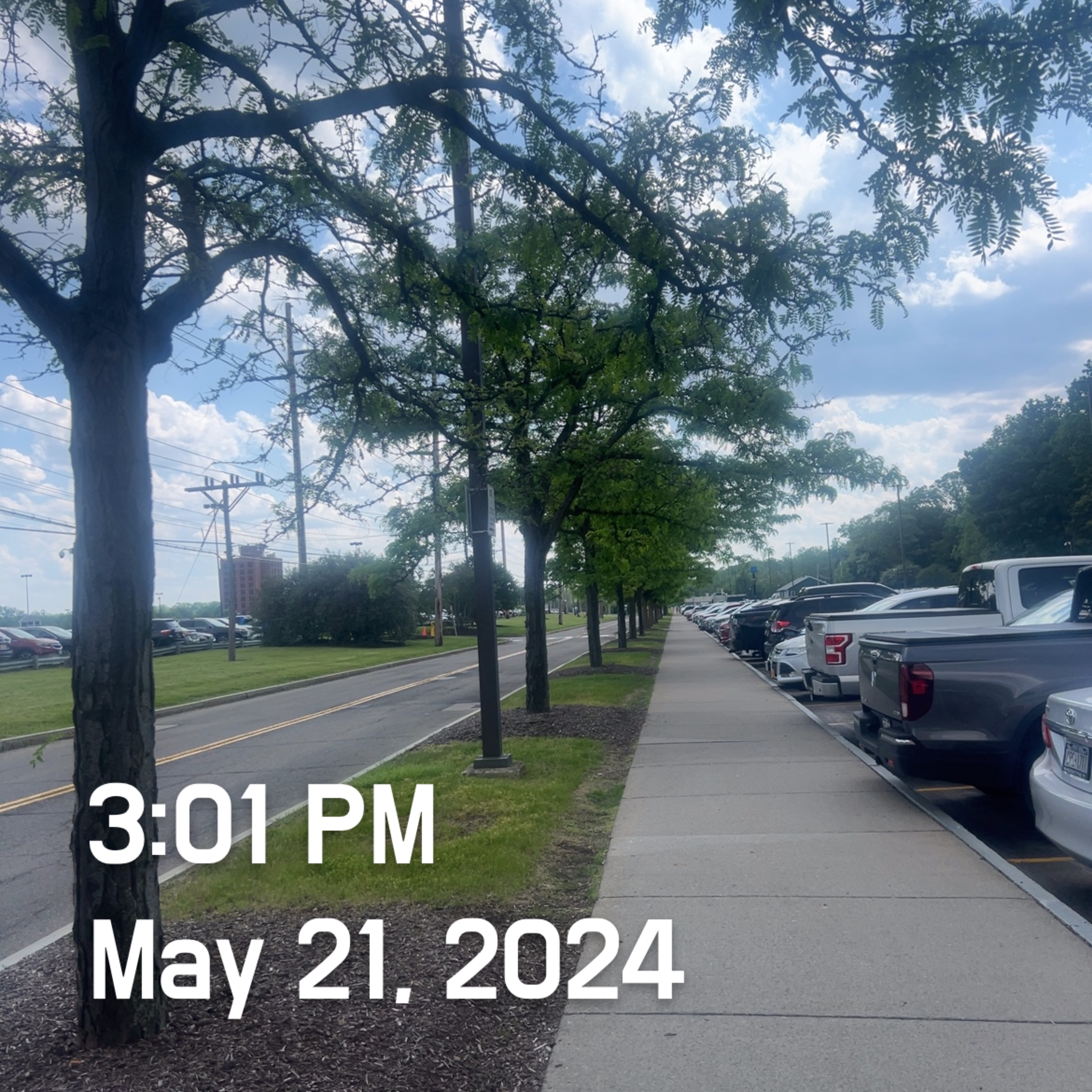 day06out
