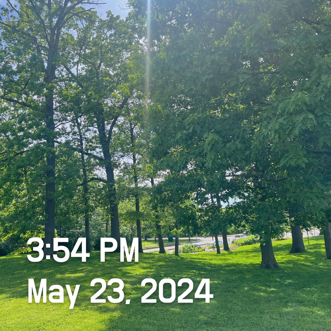 day08out